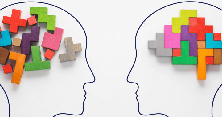 The Relationship Between Design and Function